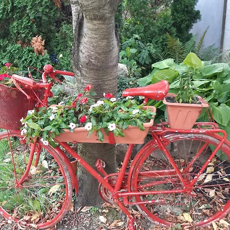 Appartamento Andrea Kehidakustány