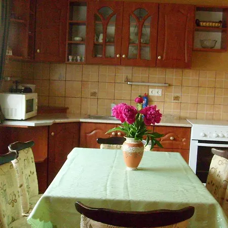 Apartment Andrea Vendeghaz *