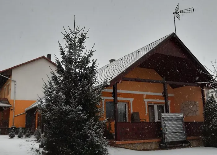 Andrea Vendeghaz Appartement *