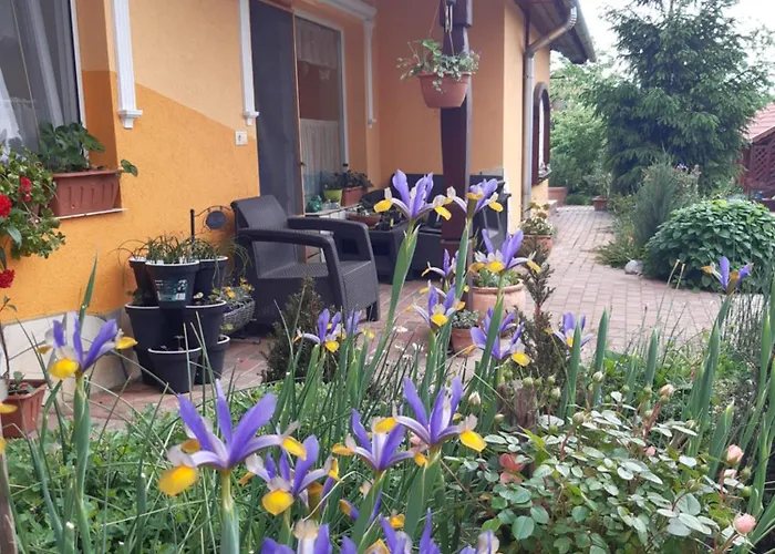 Andrea Vendeghaz Appartement *