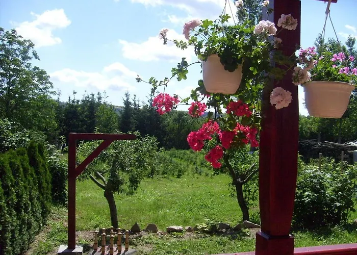 Andrea Vendeghaz Appartement *