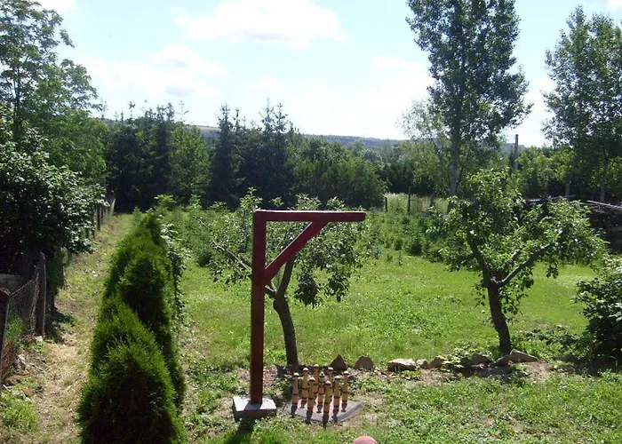 Andrea Vendeghaz * Kehidakustány